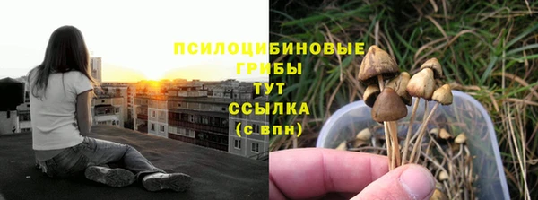 не бодяженный Осинники
