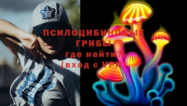 ешки Осташков