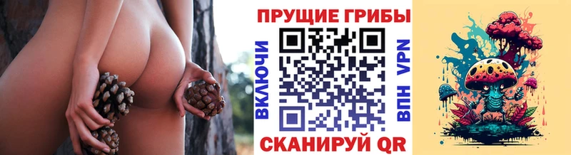 hydra рабочий сайт  Тогучин  Галлюциногенные грибы мицелий 